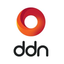 DDN logo