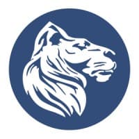 Löwenstark Online-Marketing GmbH logo