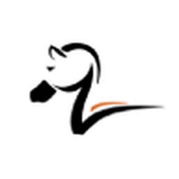 Zebra Strategies logo