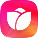 Bloom logo