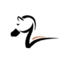 Zebra Strategies logo